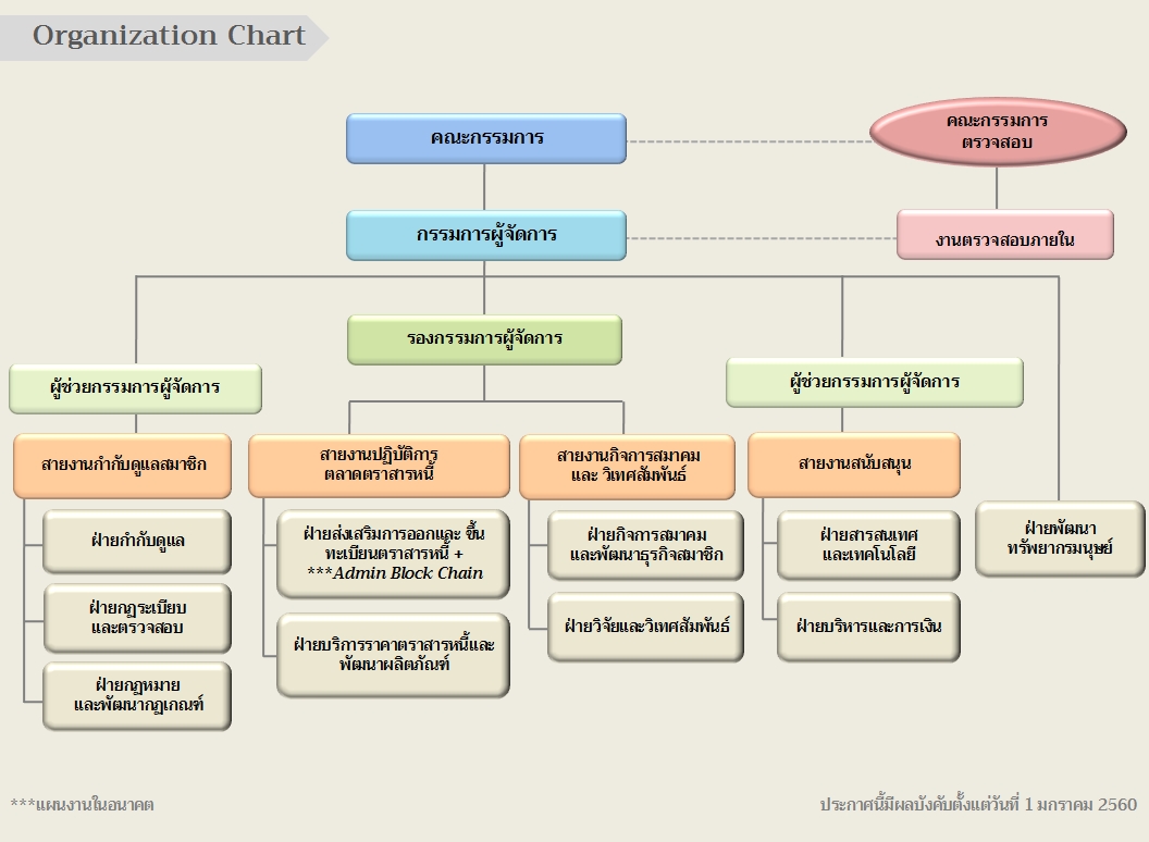 ThaiBMA Organization chart