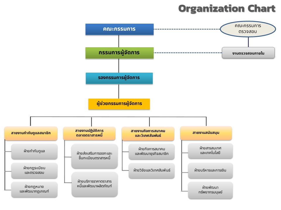 ThaiBMA Organization chart