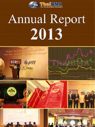 Annual Report 2013